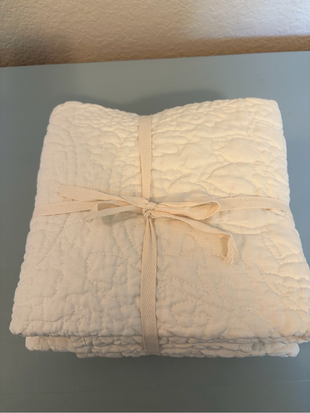 Pottery Barn Quilted Cotton Flax Floral Stitch Euro Shams (3) - Ivory